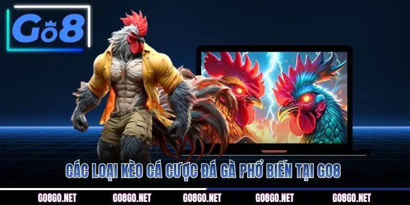 Các loại kèo cá cược đá gà phổ biến tại GO8